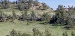 20200528_173700.jpg