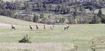 20200528_173545.jpg
