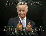 Joe-Biden-like-a-rock-only-dumber.png