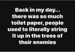 toilet-paper-meme.jpg