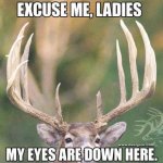 Deer-rack-eye-candy-hunting-meme.jpg