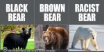 black-bear-brown-racist-polar-beer.jpg