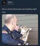 shakedown.jpg