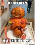 And-This-Kid-Is-How-Pumpkins-Are-Made-Funny-Pumpkin-Meme-Image.jpg