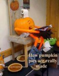 How-PumpkinPies-Are-Really-Made-Funny-Pumpkin-Meme-Image.jpg