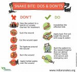 snake-bite-info.jpeg snake-bite-info.jpeg