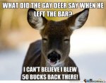 gay deer.jpg