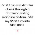 33254