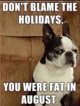 Don’t-Blame-The-Holidays-You-Were-Fat-In-Augu.jpg