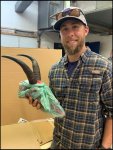 New Goat.jpg