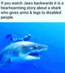 33556