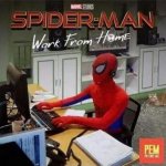 spiderman.jpg
