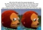 33766