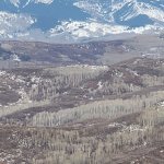 20201120_160830.jpg
