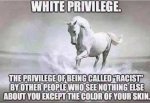 white-privilege-being-called-racist-by-people-who-see-nothing-except-color-of-your-skin.jpg
