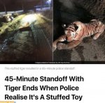 E7363D6F-03D5-49A1-8C88-D5D472780CC3.jpeg