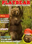 playbear.jpg