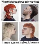 2DA3F33F-5C44-4508-8AA5-D1C80E4D211D.jpeg
