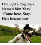 34946
