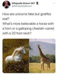 34953