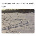 35008