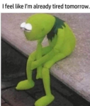 35142