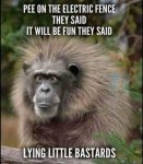 5C249EA4-82BF-49B8-8E27-F99CB5342213.jpeg