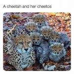 35528