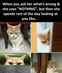 35975