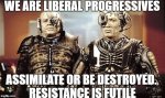 libs.jpg
