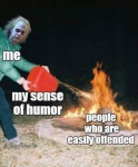36113