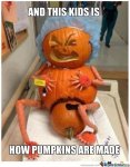 pumpkins  made.jpg