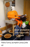 how-pumpkin-pies-are-really-made-haha-funny-pumpkin-poop-28272113.png