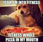 fitness.jpg