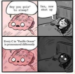 36385