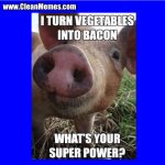 iiiit'S.....BACON!!!!!!!!!!!!!!!!!.jpg