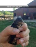 birdie sanders.jpg