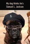 samuel jackson.jpg