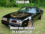 trans am.jpg