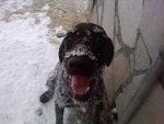 Duke_2009 Winter (800x600).jpg