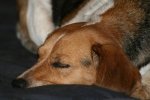 IMG_8226.jpg