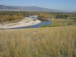 DSC00720.jpg