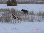 2010 pictures 235.jpg