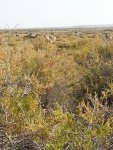 2012-09-19 10.39.51.jpg