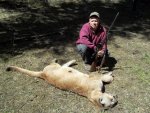 2013 Cougar 010.jpg