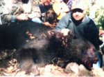 Bear #1.jpg