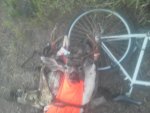 deer bike.jpg