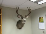 IMG_0096.jpg