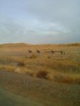 Powder River 2012 - 9.jpg