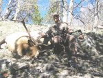 elk and bow.jpg